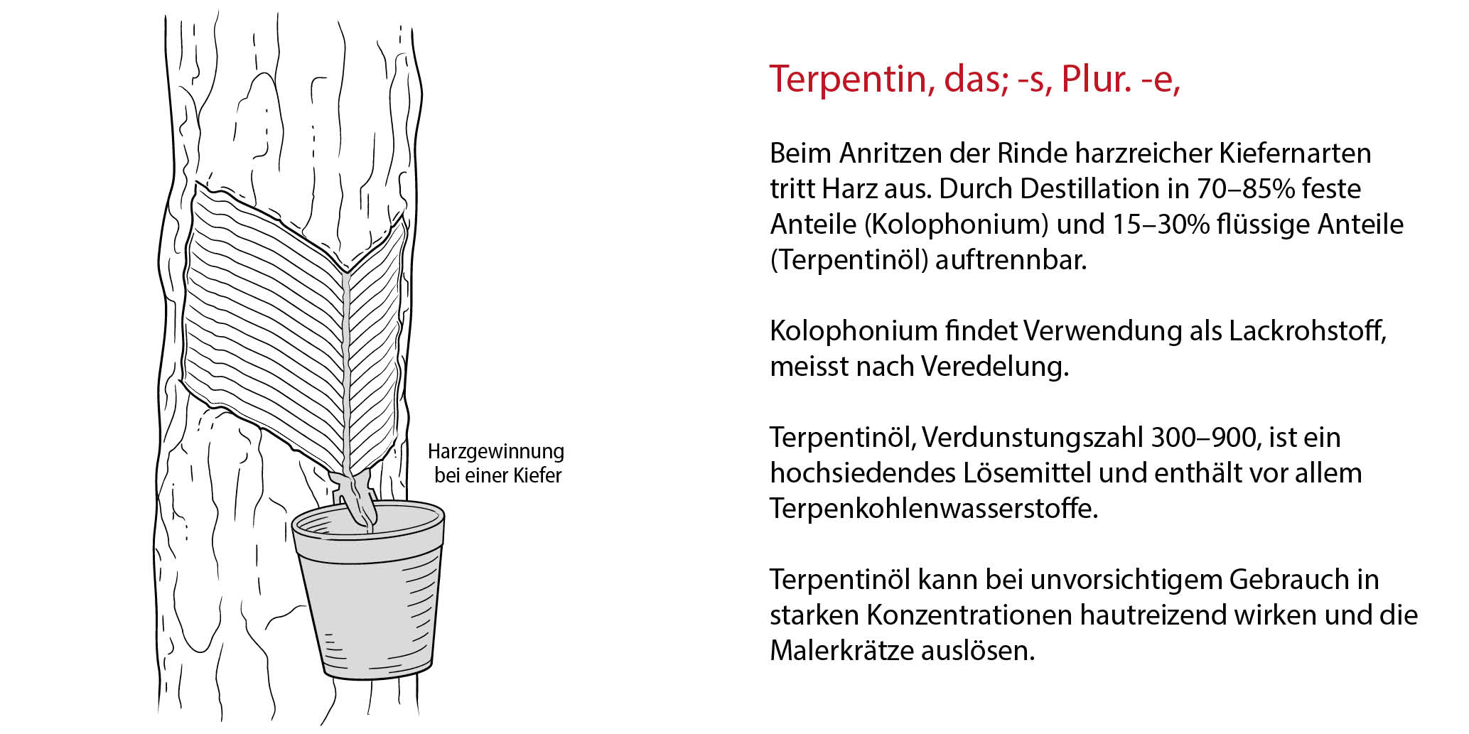 Terpentin